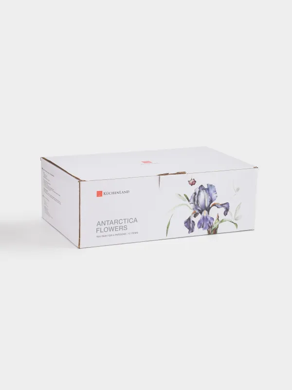 Пара чайная, 6 перс, 12 пр, 300 мл, фарфор F, с серебристым кантом, Ирис, Antarctica Flowers, image-5