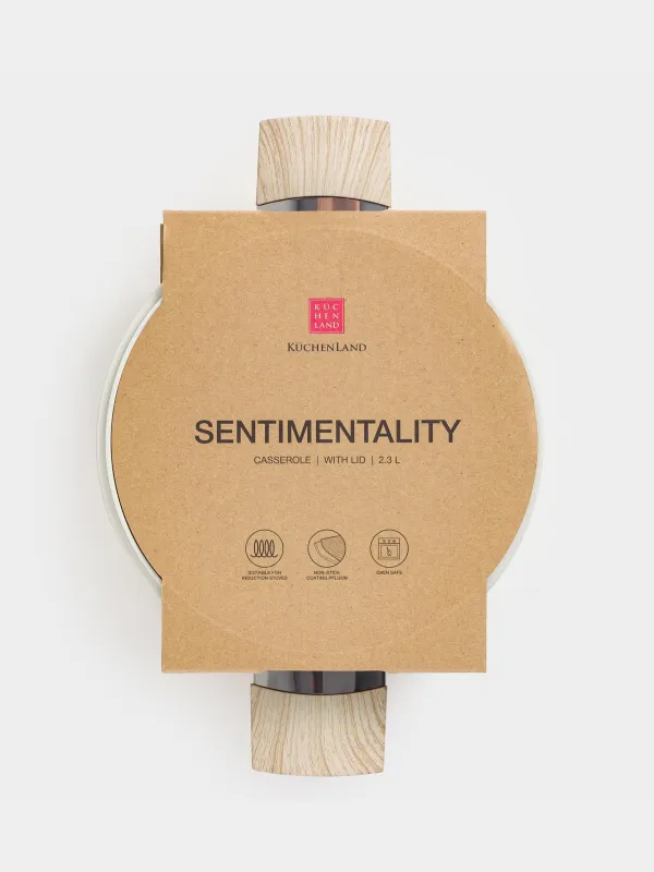 Кастрюля, 20 см, 2,3 л, с крышкой, с покрытием, алюминий, молочная, Sentimentality, image-2