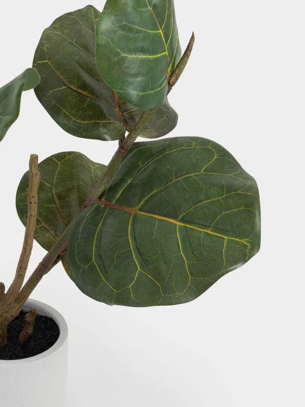 Растение искусственное, 85 см, в горшке, пластик, Фикус, Pot garden, image-2