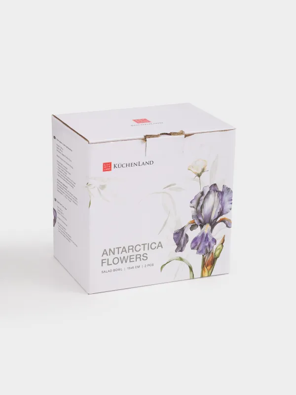 Салатник, 15x6 см, 680 мл, 2 шт, фарфор F, с серебристым кантом, Ирис, Antarctica Flowers, image-6