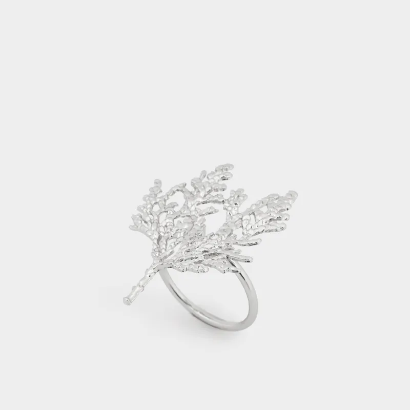 Кольцо для салфеток, Коралл, Coral, image-0