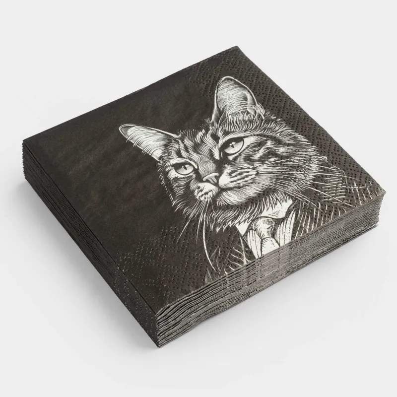 Салфетки бумажные, 21х21 см, 20 шт, квадратные, черные, Кот в костюме, Cat, image-1