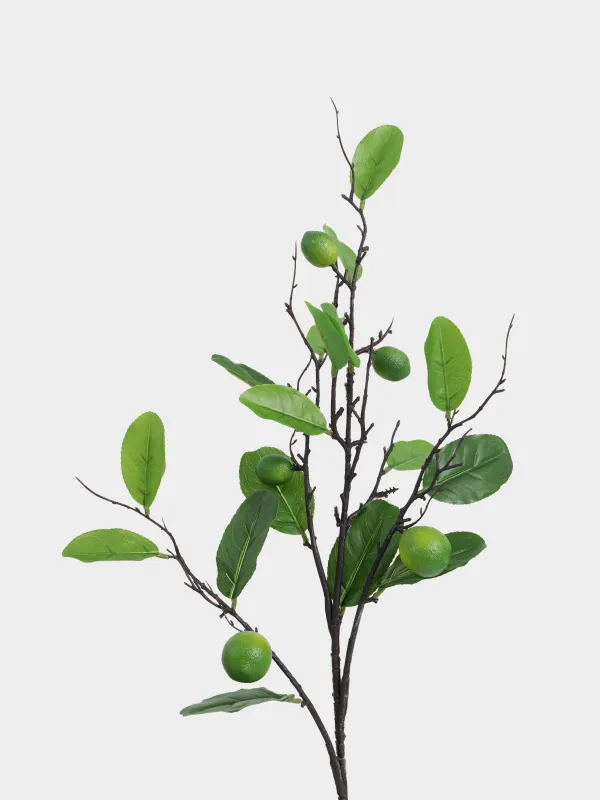 Ветка декоративная, 95 см, Лайм, Fruit decor, image-1