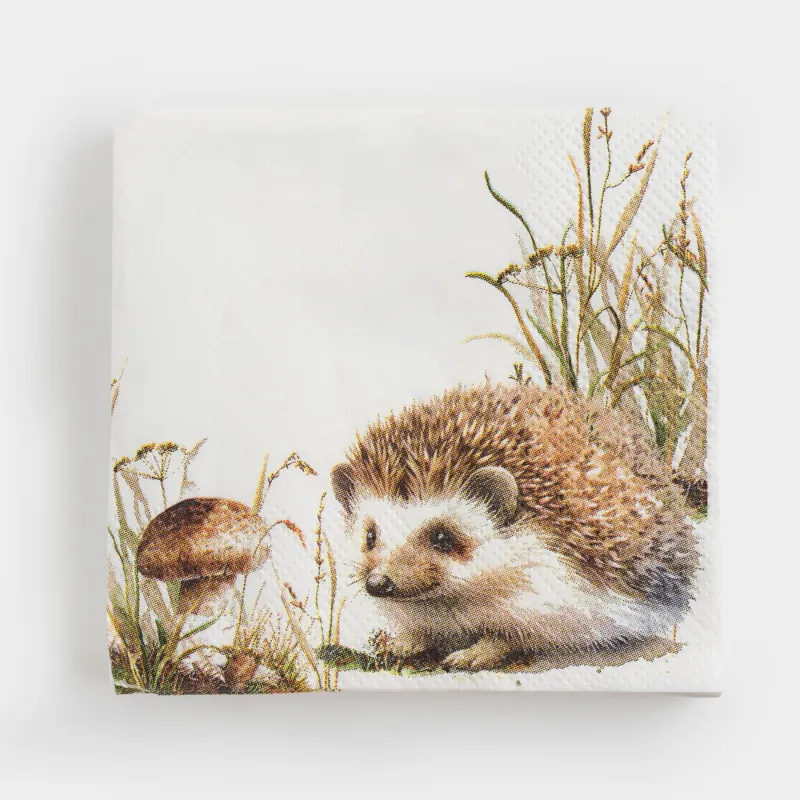 Салфетки бумажные, 21х21 см, 20 шт, квадратные, белые, Еж, Forest hedgehog