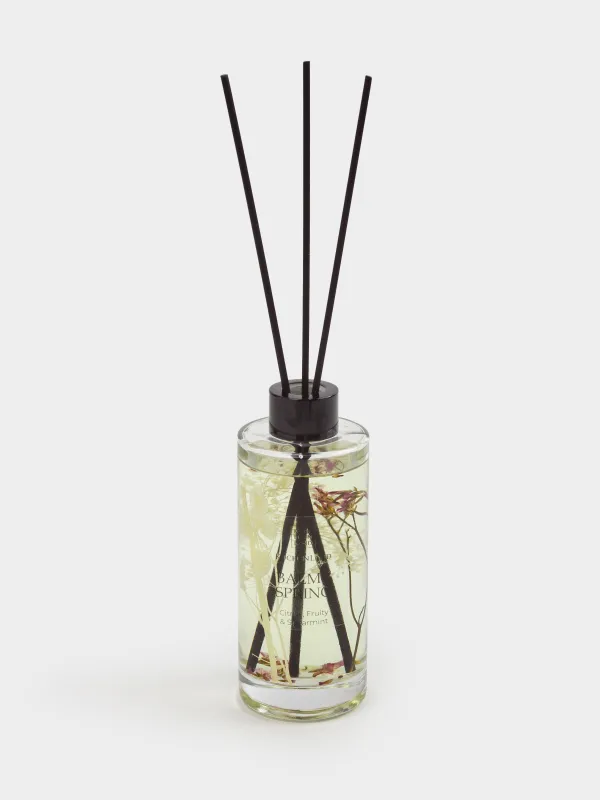 Ароматический диффузор, 180 мл, с сухоцветами, Citrus, Fruity & Spearmint, Balmy spring, image-0