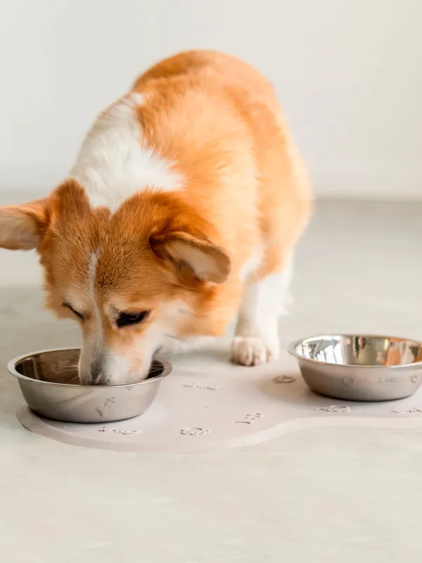 Коврик под миску для животных, Favorite pet, image-3