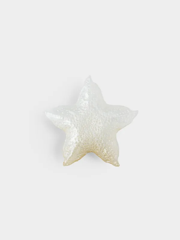 Блюдо, 27х4 см, Морская звезда, Starfish, image-1