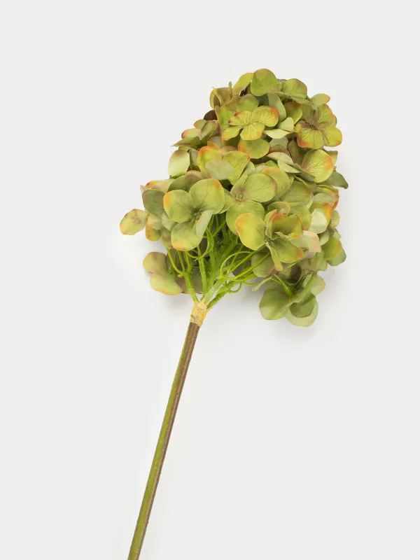 Ветка декоративная, 56 см, Зеленая гортензия, Flower garden, image-1