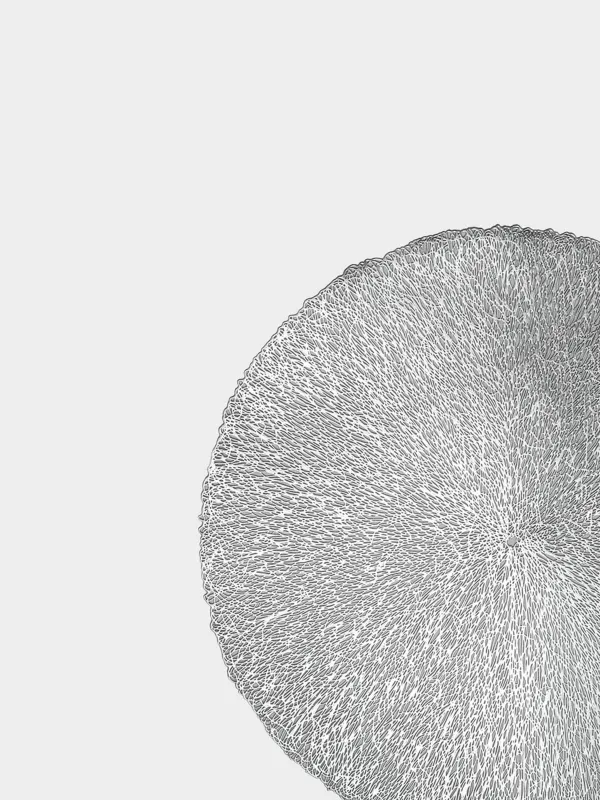 Салфетка под приборы, 38 см, ПВХ, круглая, серебристая, Паутинка, Azhur, image-1