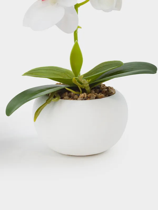 Растение искусственное, 22 см, термопластичная резина/керамика, Orchid, image-1
