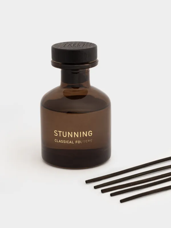 Ароматический диффузор, 120 мл, Classical Fougere, Stunning, image-2