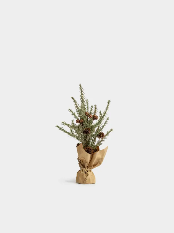 Композиция новогодняя, 30 см, в крафте, Хвоя, Conifer champagne, image-0