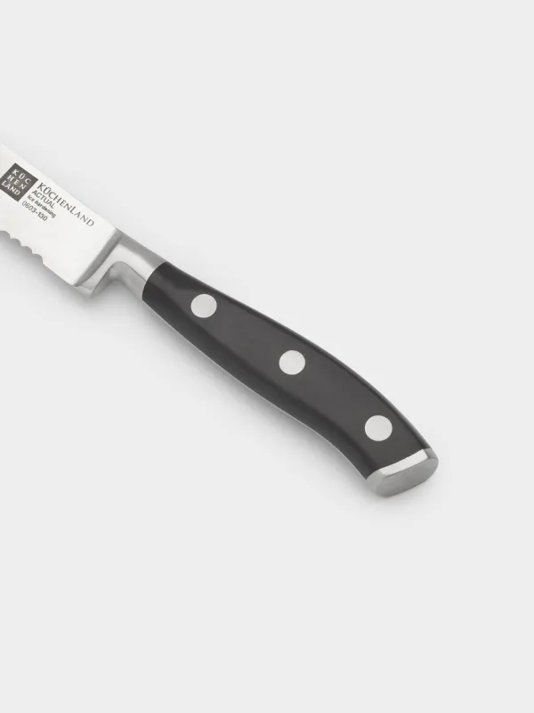 Набор ножей, 4 пр, сталь/пластик, Actual, image-3