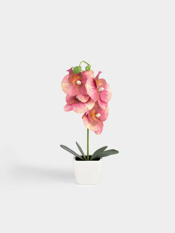 Растение искусственное, ТПЭ/керамика, Orchid, image-0