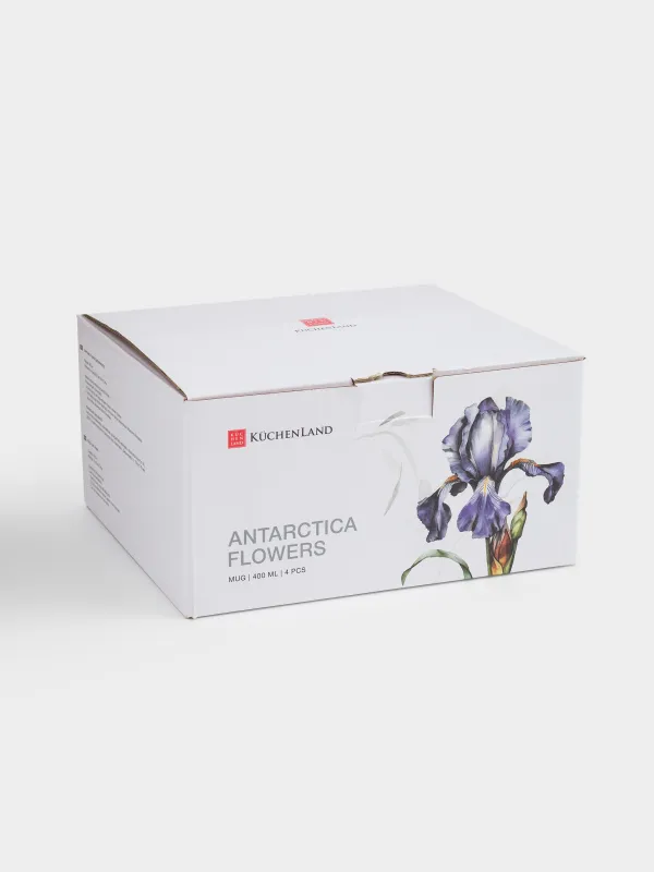 Кружка, 400 мл, 4 шт, фарфор F, с серебристым кантом, Ирис, Antarctica Flowers, image-6