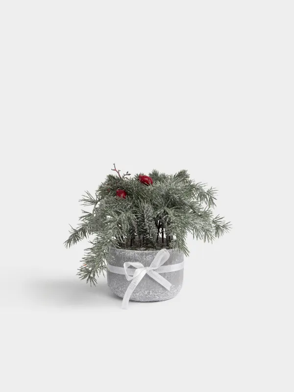 Композиция новогодняя, 30 см, Хвоя с шиповником, Conifer decor, image-0