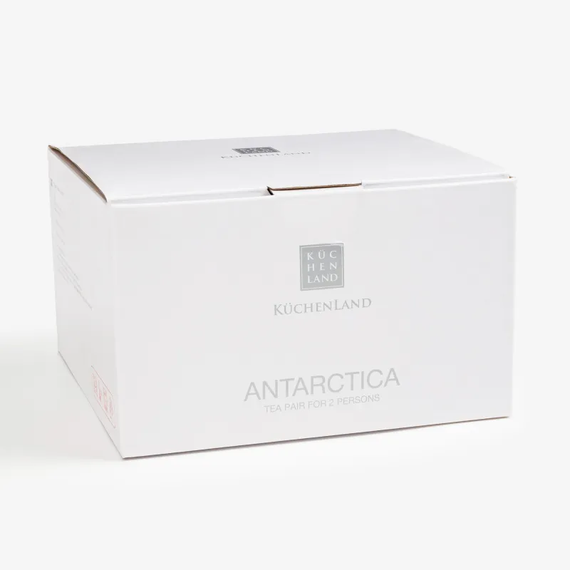 Пара чайная, 2 перс, 4 пр, 250 мл, фарфор F, Antarctica, image-6