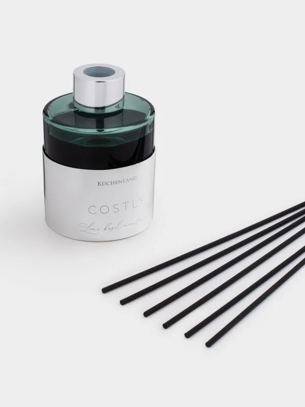 Ароматический диффузор, 120 мл, Costly, image-2