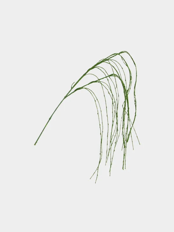 Ветка декоративная, 1,2 м, пластик/металл, Ива, Curved decor, image-0