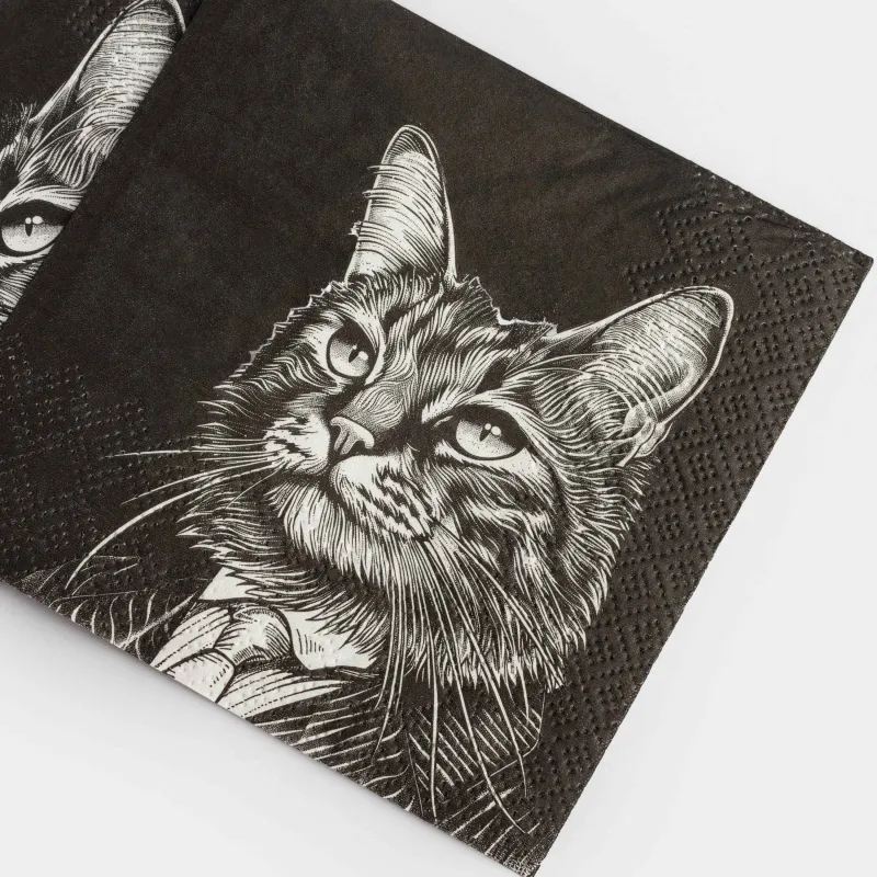 Салфетки бумажные, 21х21 см, 20 шт, квадратные, черные, Кот в костюме, Cat, image-4