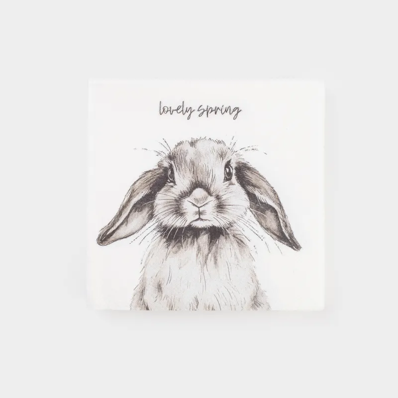 Салфетки бумажные, 21х21 см, 20 шт, квадратные, молочные, Кролик, Natural Easter