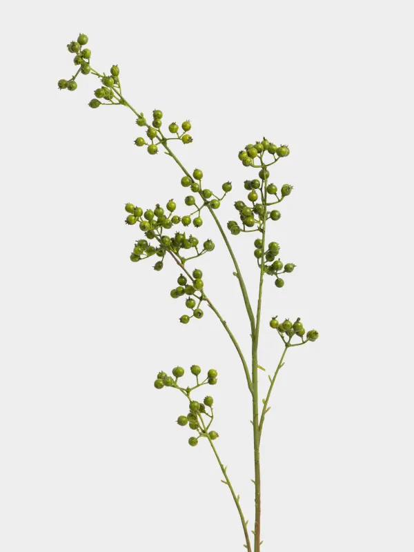 Ветка декоративная, 1 м, Зеленые ягоды, Balls decor, image-1