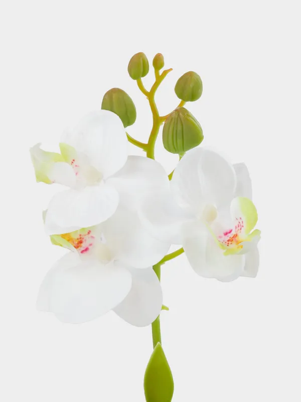 Растение искусственное, 22 см, термопластичная резина/керамика, Orchid, image-2