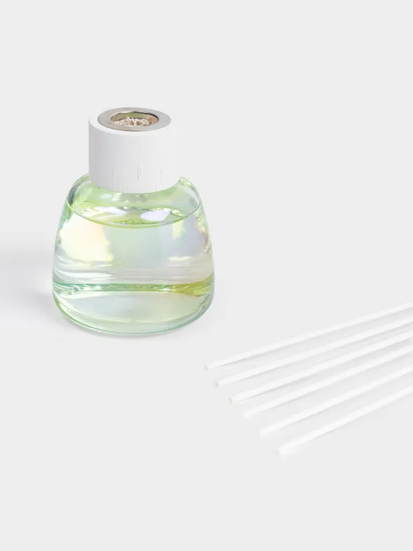 Ароматический диффузор, 100 мл, Delicate apple, Glorio, image-2