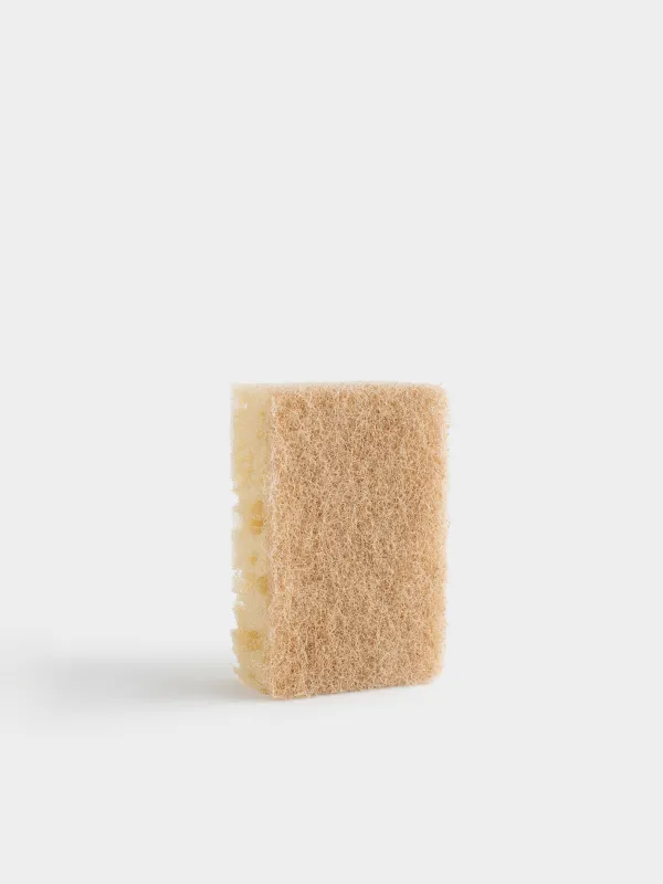 Губка для мытья посуды, 5 шт, антибактериальная, Beige clean, image-1
