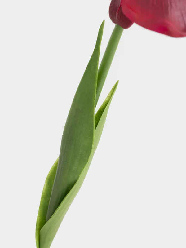 Цветок искусственный, 49 см, пластик/полиуретан, Iris garden, image-2