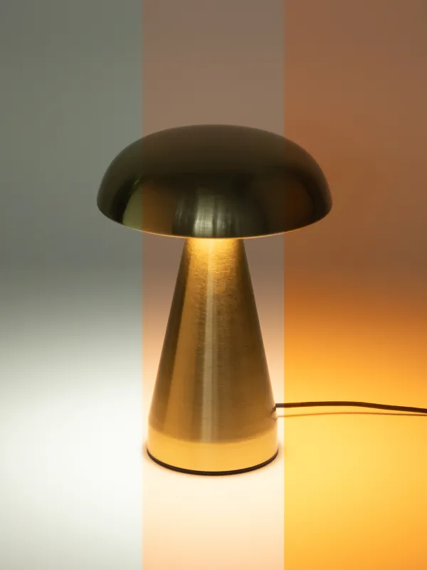 Светильник сенсорный, 22 см, беспроводной, Гриб, Golden style, image-4