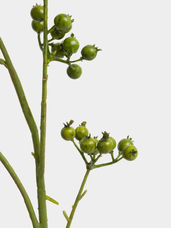 Ветка декоративная, 1 м, Зеленые ягоды, Balls decor, image-2