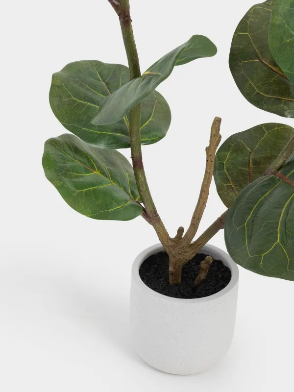 Растение искусственное, 85 см, в горшке, пластик, Фикус, Pot garden, image-3