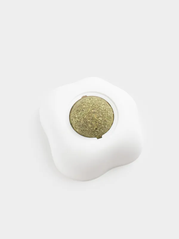 Кошачья мята, 7х7 см, в боксе с креплением, пластик/мята, Яичница, Pet, image-2