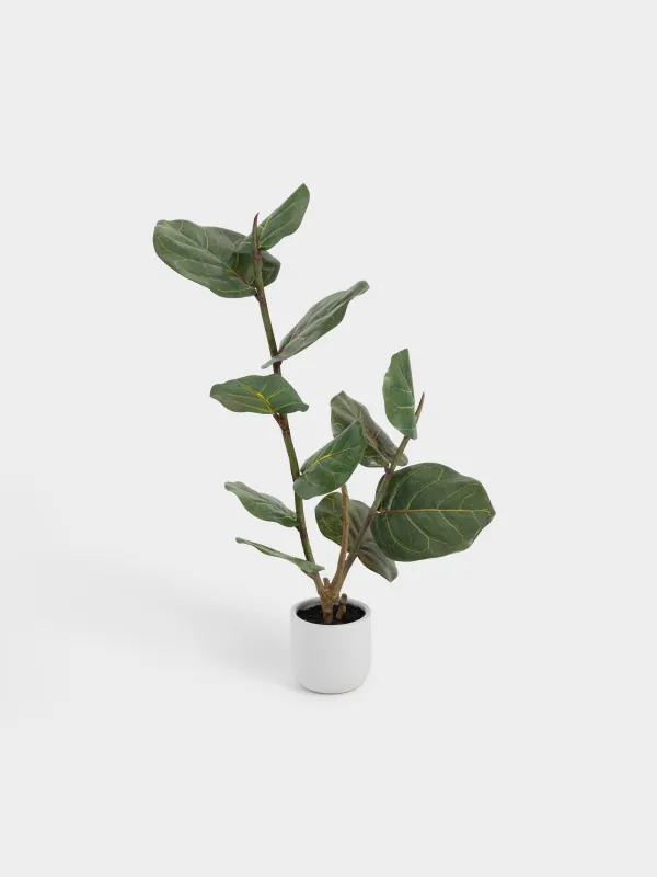 Растение искусственное, 85 см, в горшке, пластик, Фикус, Pot garden, image-4
