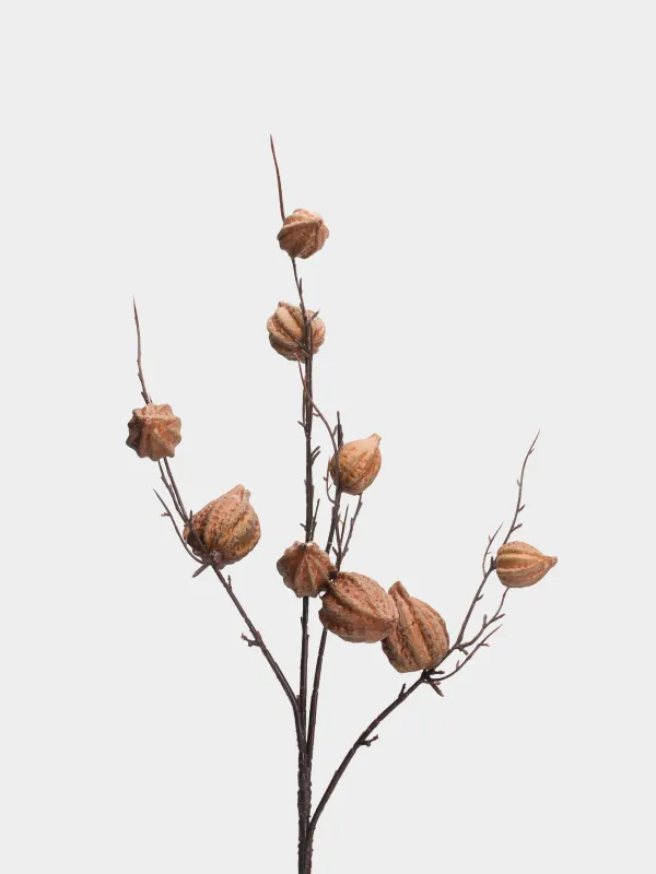 Ветка декоративная, 92 см, Коричневый физалис, Fruit decor, image-1