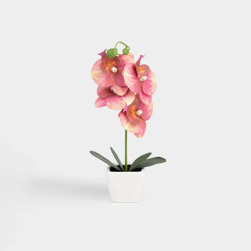 Растение искусственное, 34 см, в горшке, ТПЭ/керамика, Красная орхидея, Orchid