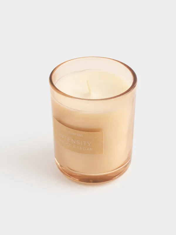 Свеча ароматическая, 8х9 см, в подсвечнике, стекло, бежевая, Spruce & Cedar, Intensity, image-1