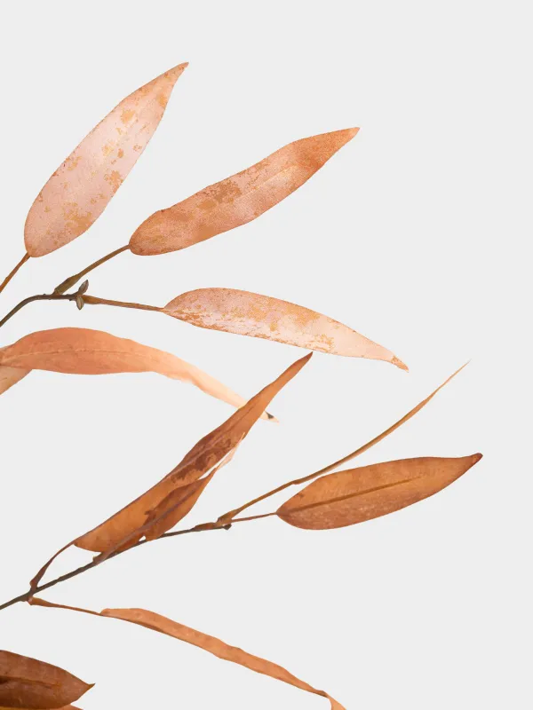 Ветка декоративная, 1,1 м, полиэстер/пластик, Эвкалипт, Colors autumn decor, image-2