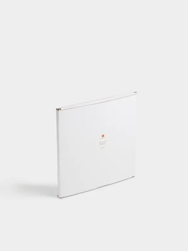 Поднос для украшений, 20х20х4 см, искусственная кожа, бежевый, Beauty print, image-6