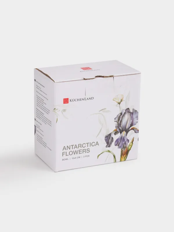 Пиала, 12х5 см, 2 шт, фарфор F, с серебристым кантом, Ирис, Antarctica Flowers, image-6