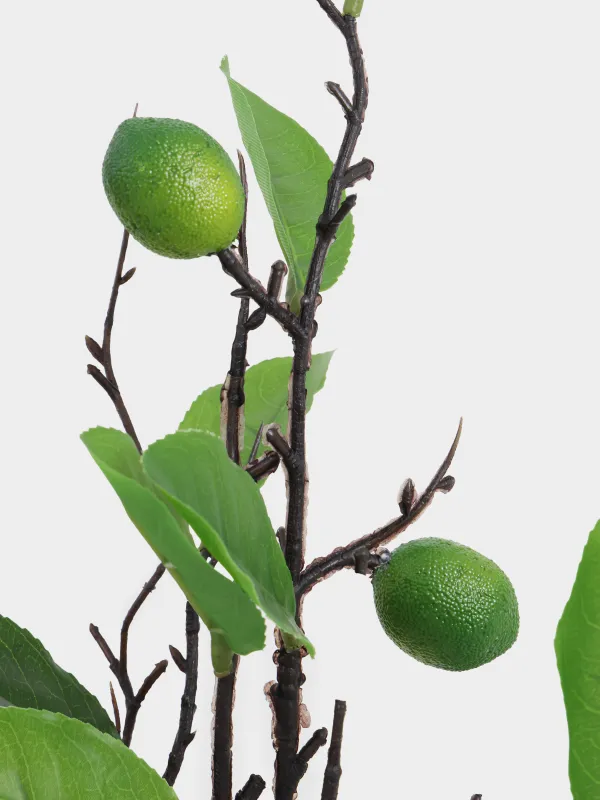 Ветка декоративная, 95 см, Лайм, Fruit decor, image-3