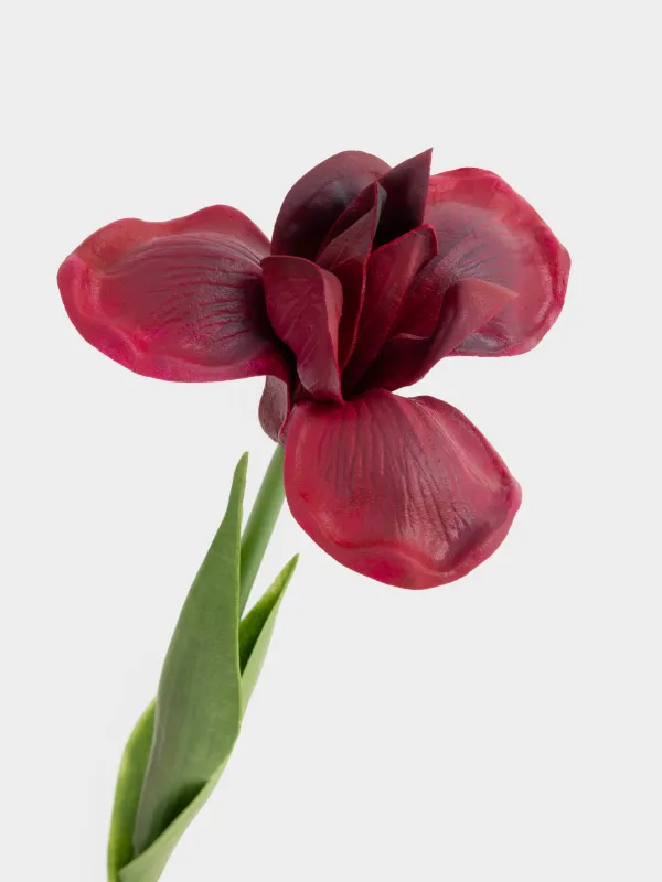 Цветок искусственный, 49 см, Ирис, Iris garden, image-1