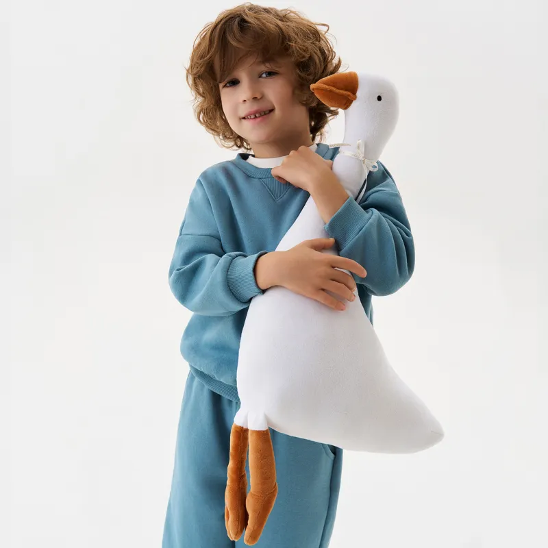 Свитшот детский, для мальчиков, хлопок/полиэстер, голубой, Arnold