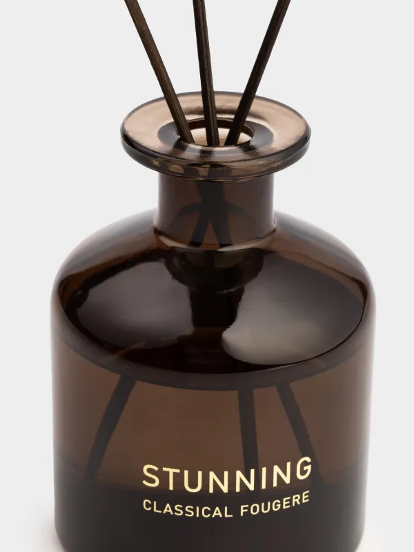 Ароматический диффузор, 200 мл, Classical Fougere Stunning, image-1