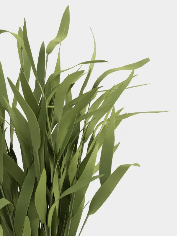 Ветка декоративная, 68 см, Эвкалипт, Leafs decor, image-3