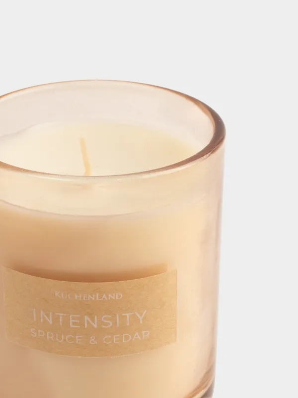 Свеча ароматическая, 6х8 см, в подсвечнике, Spruce & Cedar, Intensity, image-2