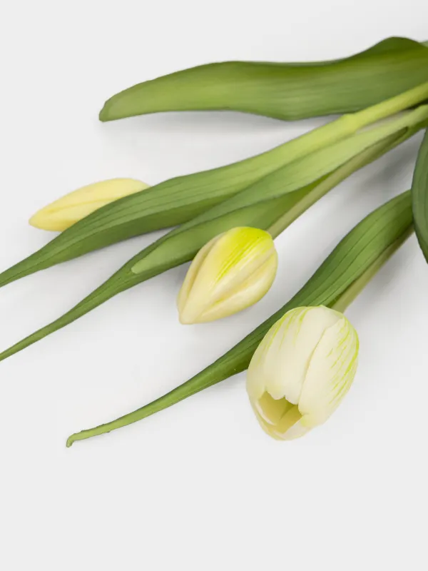 Букет искусственный, Tulip garden, image-2