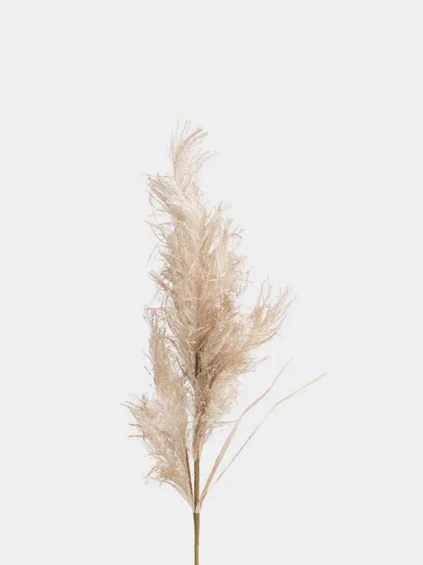 Ветка декоративная, 1 м, Пампасная трава, Meadow decor, image-1