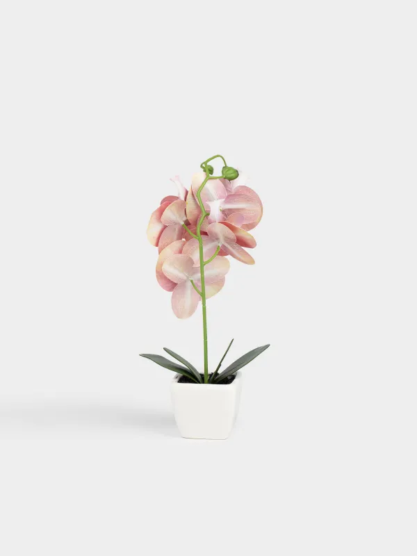 Растение искусственное, ТПЭ/керамика, Orchid, image-3
